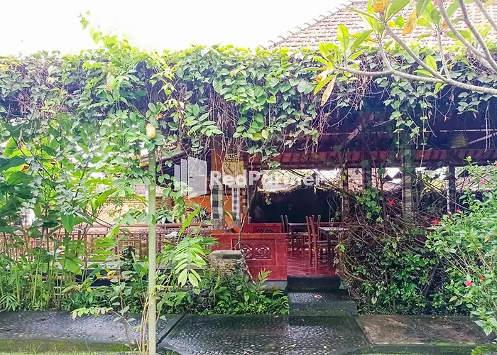 Nando House *